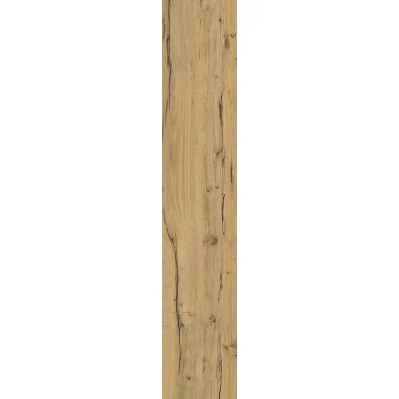 Energieker ROBUR Pecan